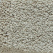Masland Carpets & Rugs Americana Foam 9439-712