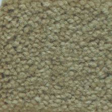 Masland Carpets & Rugs Americana Royal Gorge 9439-731