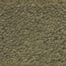 Masland Carpets & Rugs Americana Appalachia 9439-766