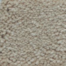 Masland Carpets & Rugs Americana Pebble 9439-810