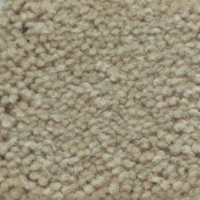 Masland Carpets & Rugs Americana Aspen 9439-829