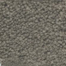 Masland Carpets & Rugs Americana Spruce 9439-854