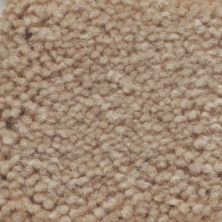 Masland Carpets & Rugs Americana Bajada 9439-901