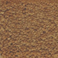 Masland Carpets & Rugs Americana Adobe 9439-926