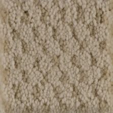 Masland Carpets & Rugs Seurat Flesh Tint 9440-44