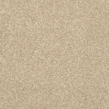 Masland Carpets & Rugs Beacon Hill Washed Clay 9527-349