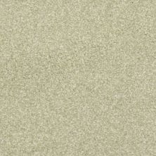 Masland Carpets & Rugs Beacon Hill Frosted Mint 9527-586