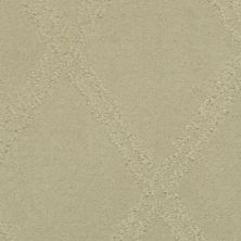 Masland Carpets & Rugs Braided Opulence Simply Taupe 9542-247