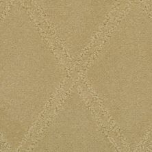 Masland Carpets & Rugs Braided Opulence Rich Tan 9542-263