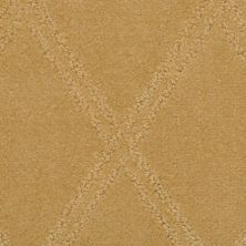 Masland Carpets & Rugs Braided Opulence Terra Cotta 9542-969