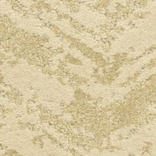 Masland Carpets & Rugs Cheval River Stone 9596-142