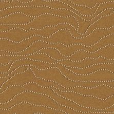 Kane Carpet Allure Personality ALL-4145