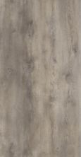 Amorim Wood Spc Infinitus AMRM_80000608