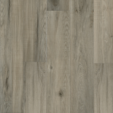 Aqua Logic Supreme Great Floors  AQUALOGIC Greyhawk GFAQUALOGIC-142204
