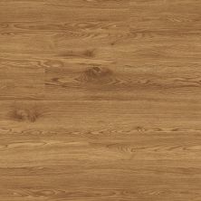 Metroflor Artistek – American Plank Plus Amber Oak 71004CBK