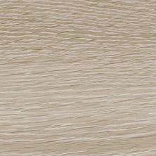 Anatolia Aspen Paper Birch 4500-0066-1