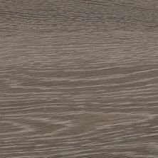 Anatolia Aspen Sequoia 4500-0068-1
