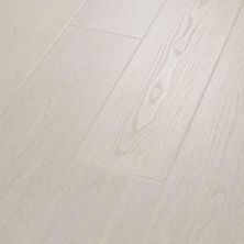 Carpetsplus Colortile Pro Waterproof Performance Flooring Aspire HD Plus Natural Bevel Oriel CV212-1111