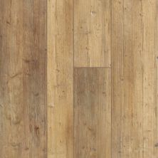 Carpetsplus Colortile Pro Waterproof Performance Flooring Aspire Mix Touch Pine CV185-690
