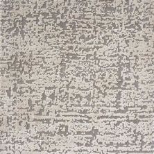 Kane Carpet Attractive Specialty ATT-5349
