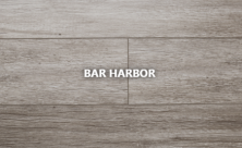 Audacity Liberty Bar Harbor CWH-1677