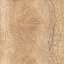 Florida Tile Comfort Beige B678.0064.002Z