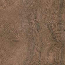 Florida Tile Comfort Brown B678.0064.005Z