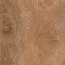 Florida Tile Comfort Ginger B678.0064.060Z