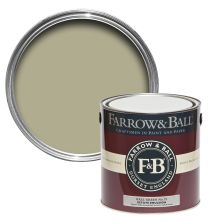 Farrow And Ball Current Palette Ball Green 5029496117509