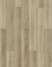 Lions Floor Bambino Dolce BB-I