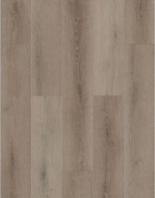 Lions Floor Bambino Coffee Feather BB-VI