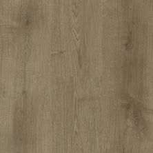 Tas Flooring Barbizon Chateau Tan NE58-7207