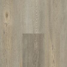 Tas Flooring Barbizon Heritage Gray NE58-7007