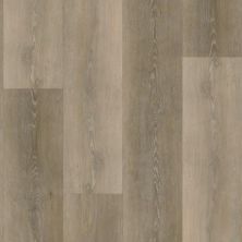 Bpi Prestige Prohibition Speakeasy Brad’s Pickle Back GEMM1092