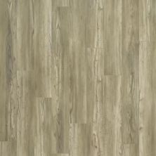 Carpetsplus Colortile Luxury Flooring Destination 1.0 Brig River Bed BRS42-891