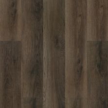 Biyork Floors Hydrogen 7 Plank BIYORK Simply WaterProof Floors Daliwood  BYKHYDRO7DA Shop Luxury Vinyl