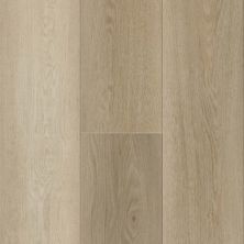 Titan Surfaces Simplicity Oasis 2004