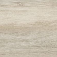 Anatolia Cabin Paper Birch 4500-0110-0