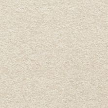 Masland Carpets & Rugs Cassina Macaroon 5376-20207