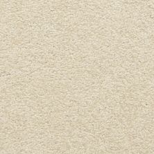 Masland Carpets & Rugs Cassina Fragile 5376-20224