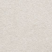 Masland Carpets & Rugs Cassina Patina 5376-20235