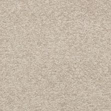 Masland Carpets & Rugs Cassina Midar 5376-20253