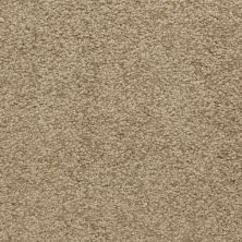 Masland Carpets & Rugs Cassina Granola 5376-30206
