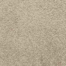 Masland Carpets & Rugs Cassina Teak 5376-30210