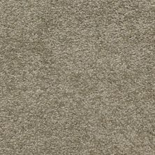Masland Carpets & Rugs Cassina Motif 5376-70223