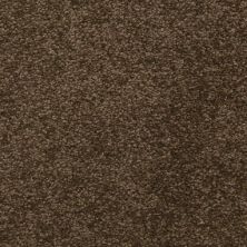 Masland Carpets & Rugs Cassina Chickery 5376-70231