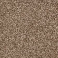 Masland Carpets & Rugs Cassina Chestnut 5376-70255