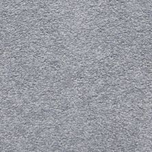 Masland Carpets & Rugs Cassina Slate 5376-80226