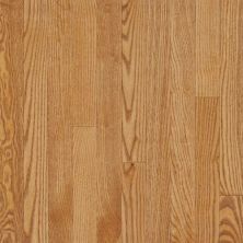 Bruce Dundee Plank 3 1/4 In – Spice CB1214