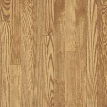Bruce Dundee Plank 3 1/4 In – Seashell CB1230